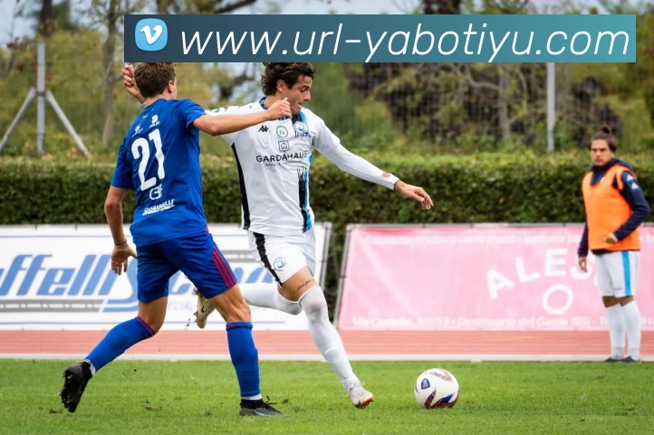 亚博体育APP 封面图